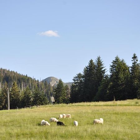 Apartamenty Jszi Zakopane Exteriér fotografie