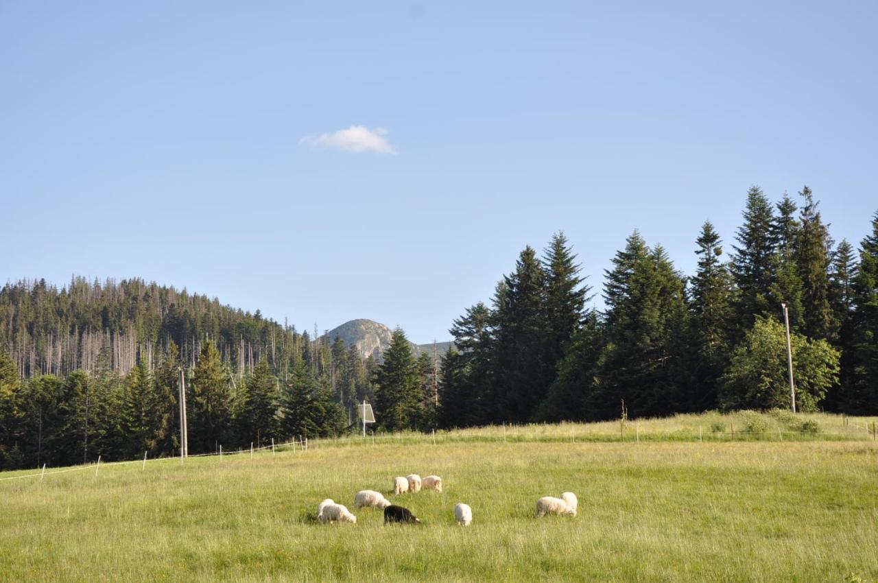 Apartamenty Jszi Zakopane Exteriér fotografie