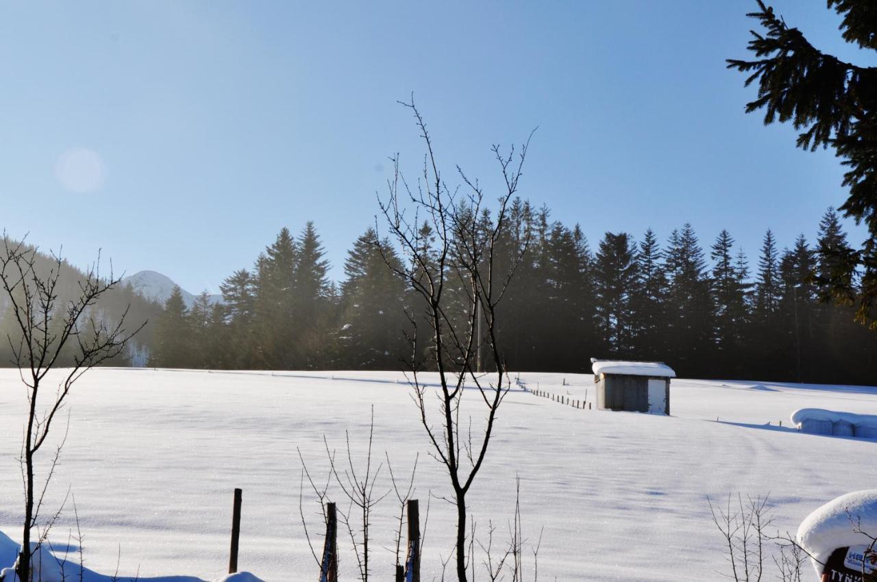 Apartamenty Jszi Zakopane Exteriér fotografie